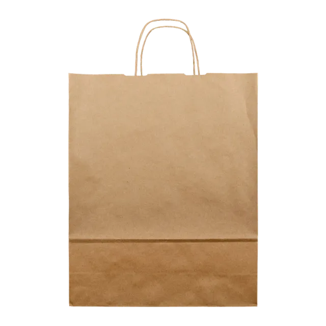 JORLOP Saco Asa Torcida sacchetto kraft 115 gr manici ritorti