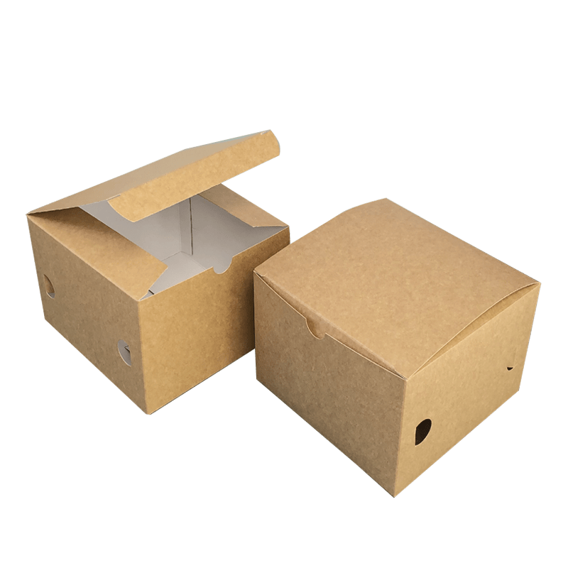 Tecnobag Packaging Box Panino con Coperchio in Cartoncino