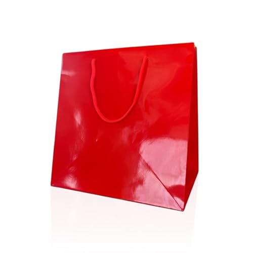 Ecocart Porta Box Shopper Carta 33x24x33 Rossa 10pz Panettone