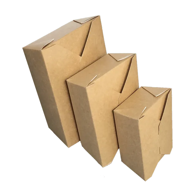 Tecnobag Flap Box scatola asporto politenata per primi e secondi