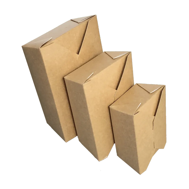 Tecnobag Flap Box scatola asporto politenata per primi e secondi