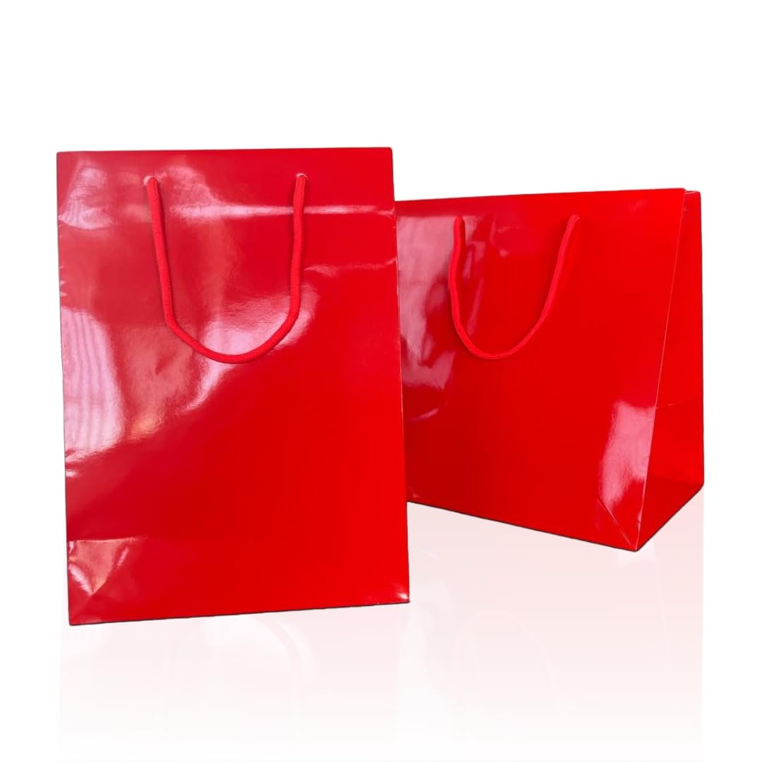 Ecocart Porta Box Shopper Carta 33x24x33 Rossa 10pz Panettone