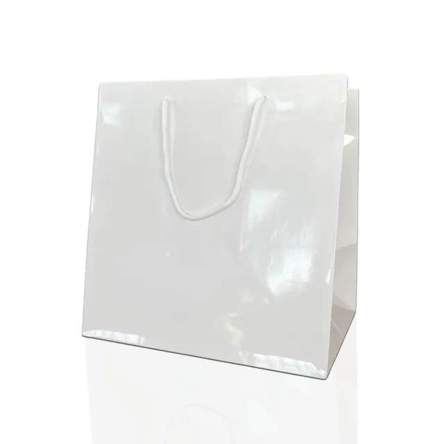 Ecocart Porta Box Shopper Carta 33x24x33 Bianca 10pz Torte Vino