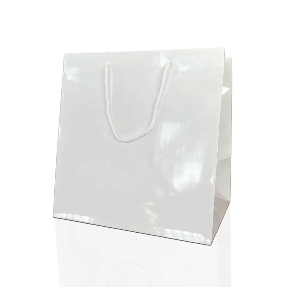 Ecocart Porta Box Shopper Carta 33x24x33 Bianca 10pz Torte Vino