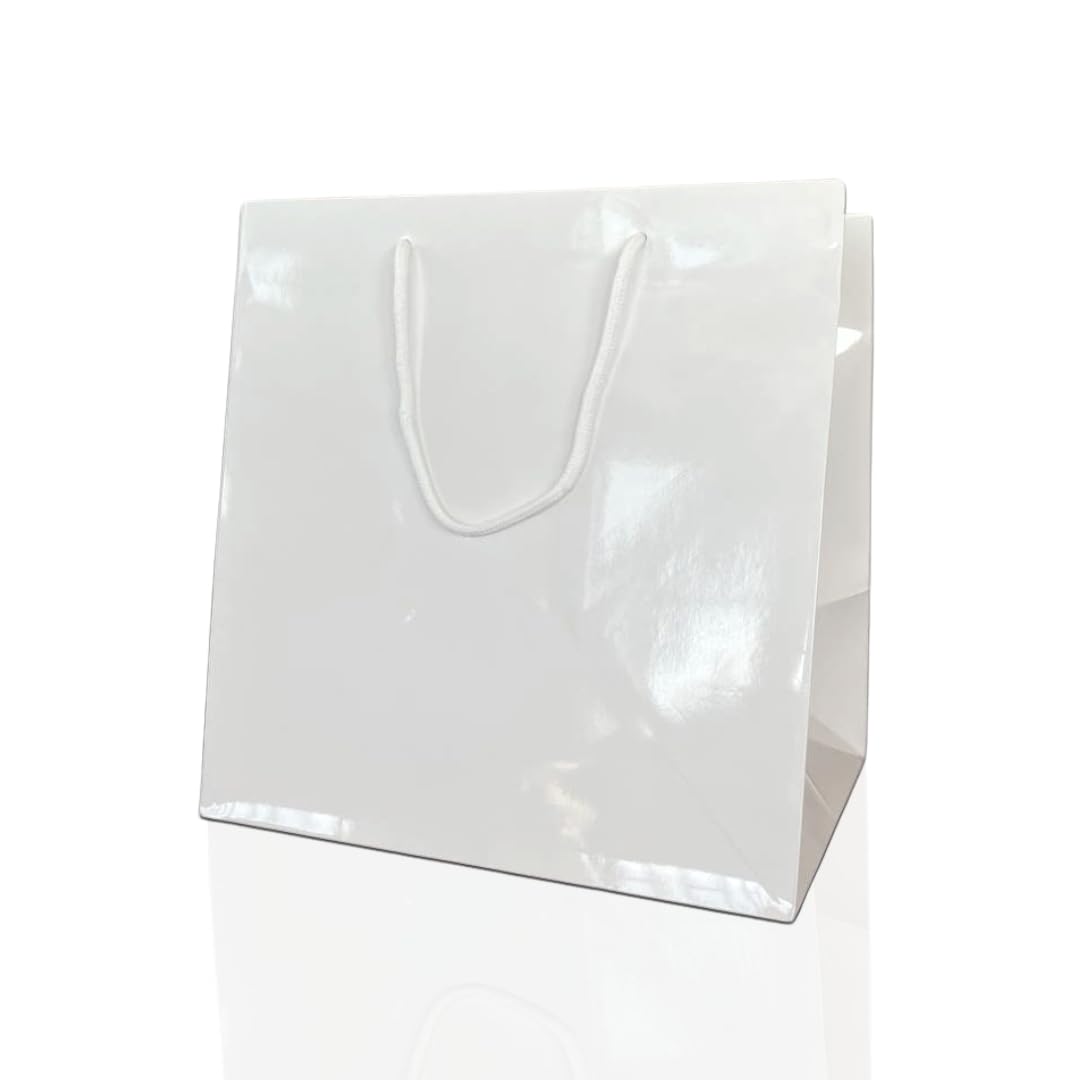 Ecocart Porta Box Shopper Carta 33x24x33 Bianca 10pz Torte Vino