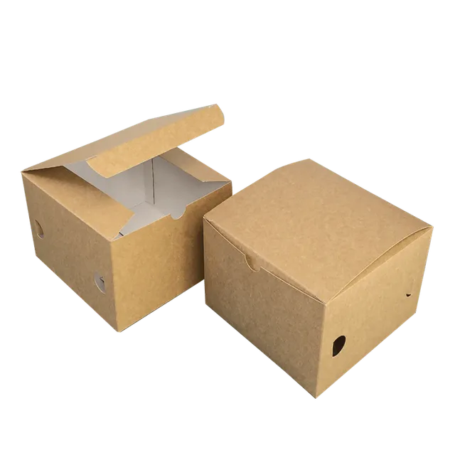 Tecnobag Packaging Box Panino con Coperchio in Cartoncino