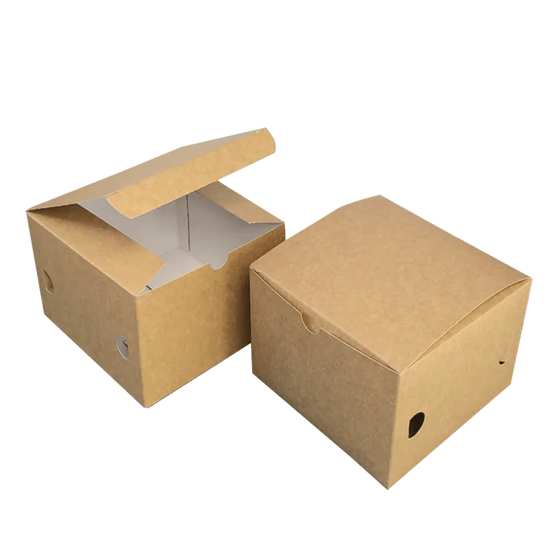 Tecnobag Packaging Box Panino con Coperchio in Cartoncino