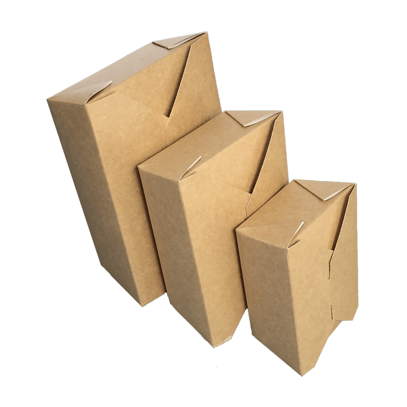 Tecnobag Flap Box scatola asporto politenata per primi e secondi