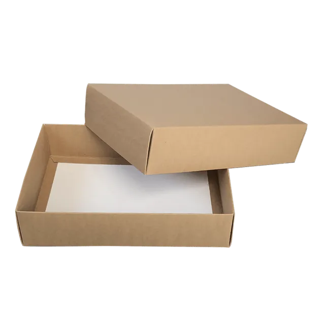 Tecnobag Packaging Sushi Box con Fondello Alluminio Asporto