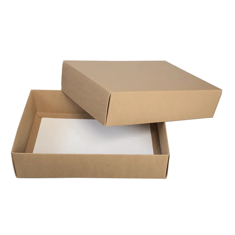 Tecnobag Packaging Sushi Box con Fondello Alluminio Asporto