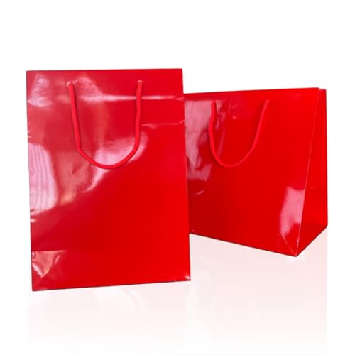 Ecocart Porta Box Shopper Carta 33x24x33 Rossa 10pz Panettone