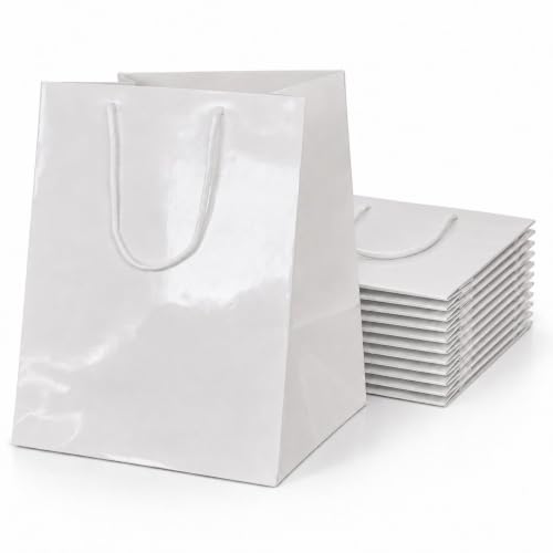Ecocart Porta Box Panettone 26+25x36 shopper bianca 10 pz